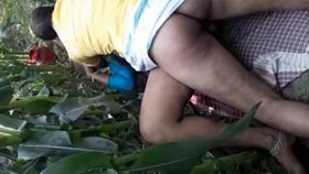 Indian older woman engages in outdoor sex in a sugarcane field