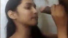 A lovely young woman performs oral sex and engages in sexual intercourse