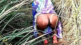 Padosan bhabhi ke sat khet me chudai video